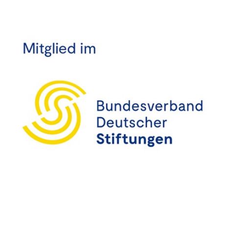 Logo Bundesverband Deutscher Stiftungen
